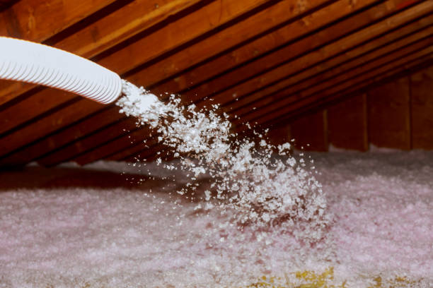Best Cellulose Insulation in Gordon, NE